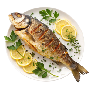 Fish Section